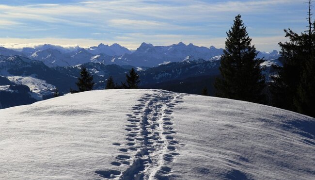 Schneeschuhwandern im idyllischem Obernbergtal