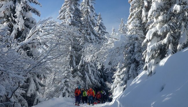 Schneeschuhwandern im idyllischem Obernbergtal