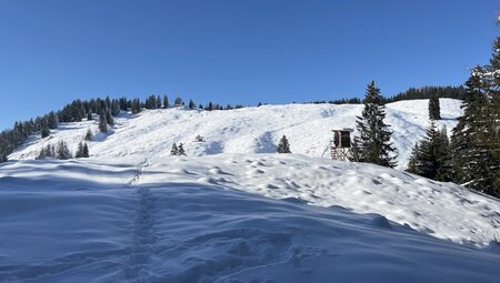 Schneeschuhwandern im idyllischem Obernbergtal