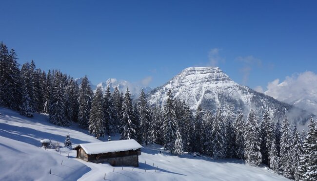 Schneeschuh-Schnupperkurs im Winter-Wonderland Karwendel