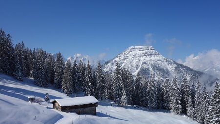 Schneeschuh-Schnupperkurs im Winter-Wonderland Karwendel