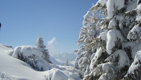 Schneeschuh-Schnupperkurs im Winter-Wonderland Karwendel