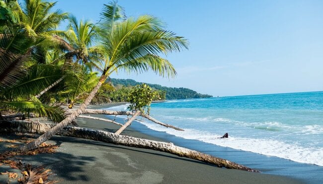 Strand und tropischer Regenwald im Corcovado Nationalpark in der Nähe von Puerto Jimenez