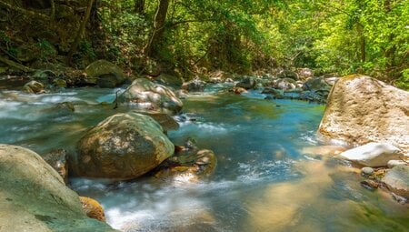 Fluss im Nationalpark Rincon de la Vieja, Costa Rica