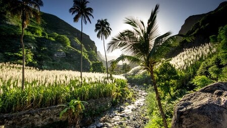 Kapverden  Sattgrüne Natur auf Santo Antao