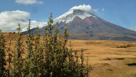 Blick auf den Cotopaxi