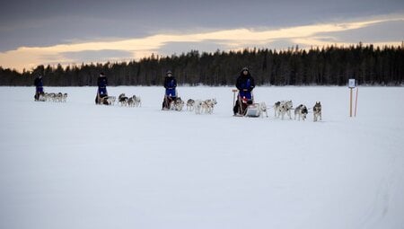 HuskyTour über finnische Seen