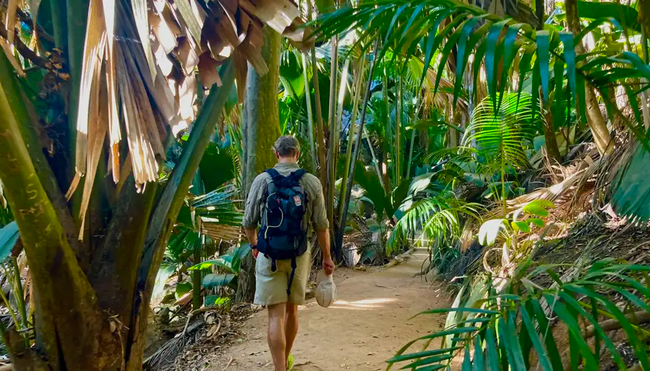 Seychellen - Naturwunder zwischen Traumstränden und Granitfelsen Seychellen - Naturwunder zwischen Traumstränden und Granitfelsen