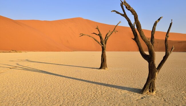 Abgestorbene Baeume im Deadvlei_2