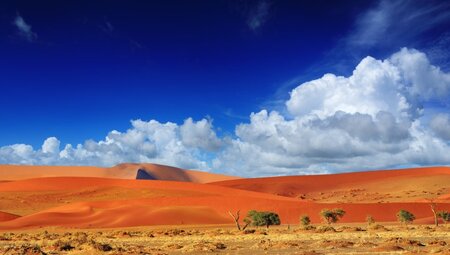 Namibia - Zwischen Dünen im Federkissen