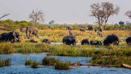 Namibia, Botswana - Tiervielfalt zwischen Wüstenbergen und Flussoasen