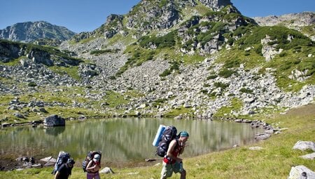 Klares Wasser  Sattes Grün