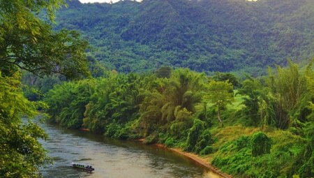 Thailand - Vielfalt des tropischen Königreichs