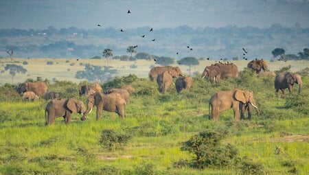 Safari im Murchison Nationalpark (Reiseverlängerung)