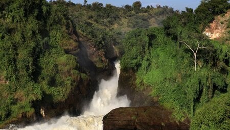 Murchison falls  Uganda