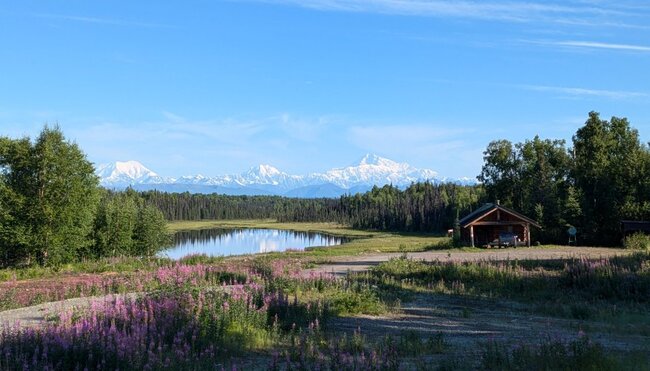 Alaska - Abenteuer Wildnis