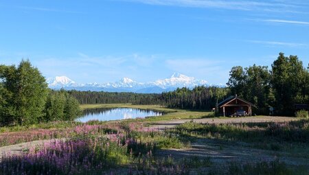 Alaska - Abenteuer Wildnis