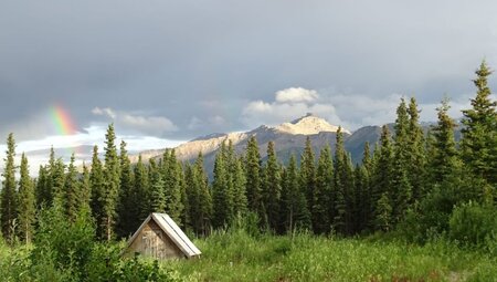 Alaska - Abenteuer Wildnis