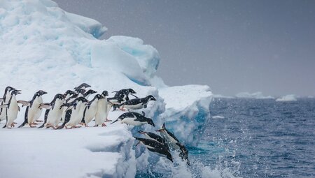 Crossing the Circle: Southern Expedition (Ocean Explorer)