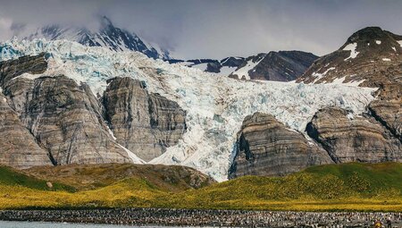 South Georgia and Antarctic Peninsula: Penguin Safari 