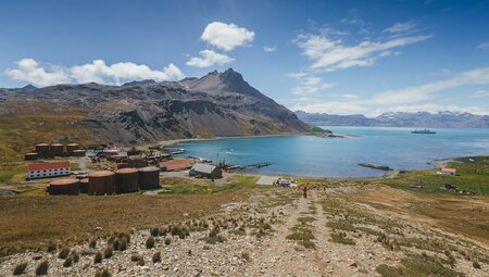 South Georgia and Antarctic Peninsula: Penguin Safari 