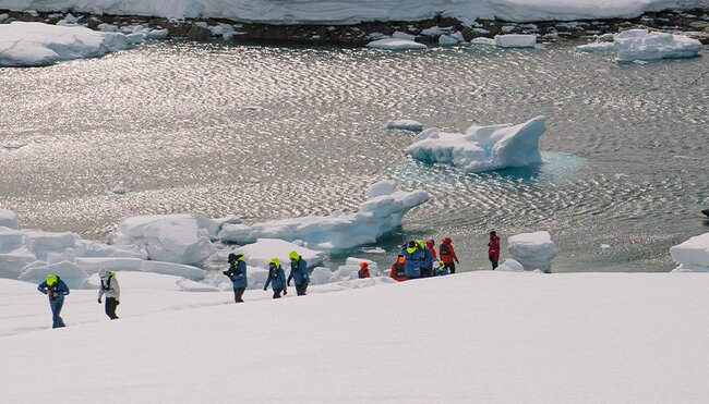 Shackleton's Falklands, South Georgia and Antarctica Expedition (Ocean Endeavour) 