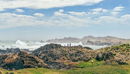 Walk Tasmania's Tarkine & Cradle Mountain