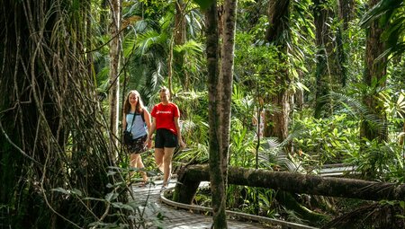 Cape York & Torres Strait Explorer