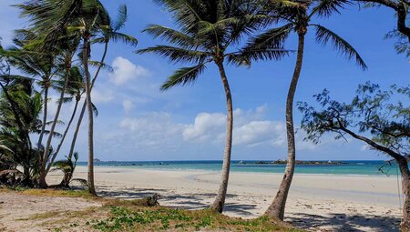 Cape York & Torres Strait Explorer