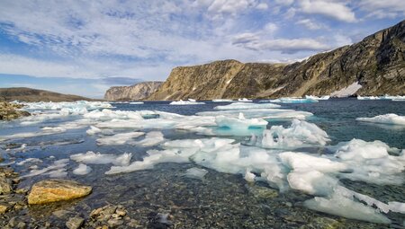 Greenland to Newfoundland: Mountains, Wildlife and Viking History