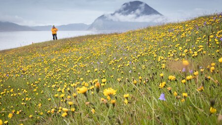  Wild Fjords of South Greenland: Land of the Vikings