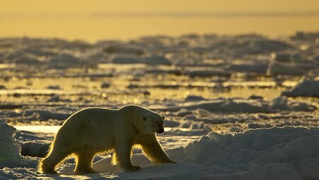 Gems of West Greenland: Fjords, Icebergs and Culture