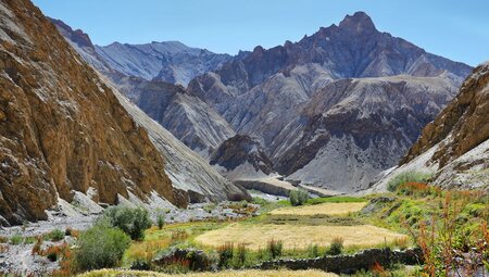 India: Trekking in Ladakh