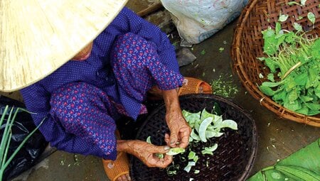 Vietnam & Cambodia Explorer