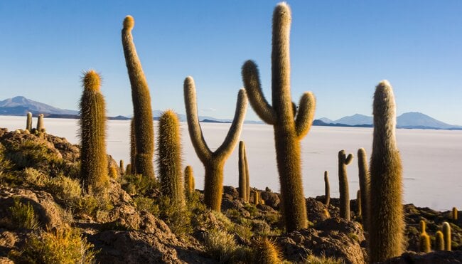 Boliviens und Perus Highlights erleben