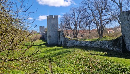 Gotland - Wandern auf einer paradiesischen Insel