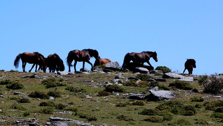 Trekking in Peneda-Gerês National Park