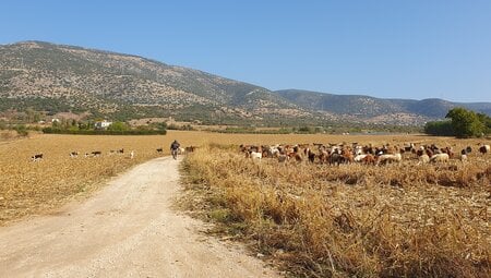 Via Egnatia: Thessaloniki-Kavala Pilgerreise