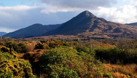 Irland - Silvester auf der grünen Insel