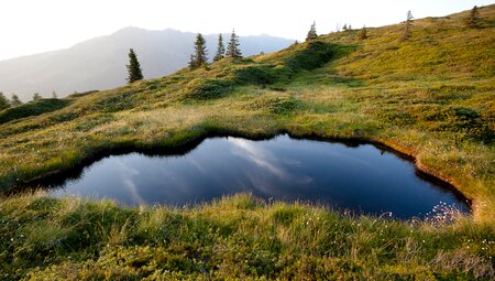 Alpenüberquerung vom Tegernsee nach Sterzing für Singles und Alleinreisende