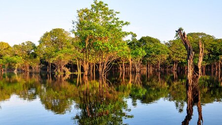 Pantanal: Brasilien & Argentinien