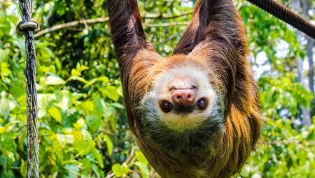 Monteverde: Costa Rica