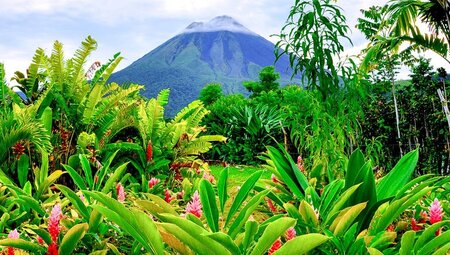 Tortuguero: Costa Rica