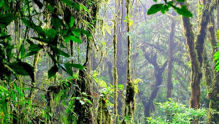 Volcano: Costa Rica