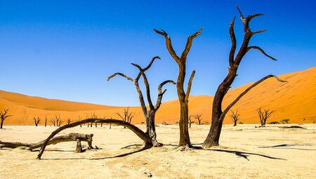 Sossusvlei:Namibia