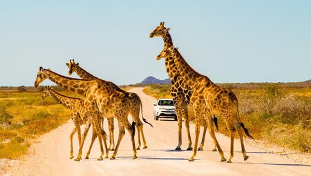 Erongo:Namibia