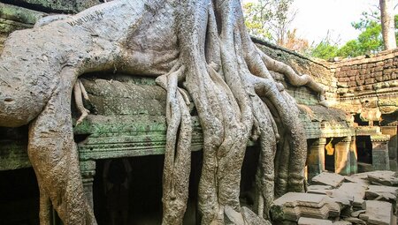 Bayon:Vietnam & Kambodscha