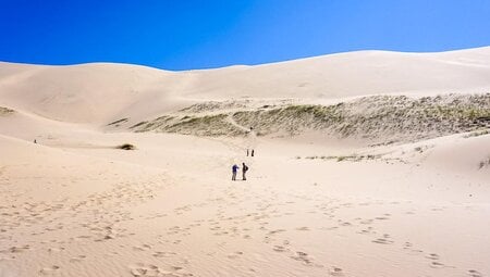 Gobi:Mongolei