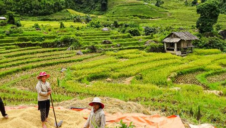 Sapa:Vietnam