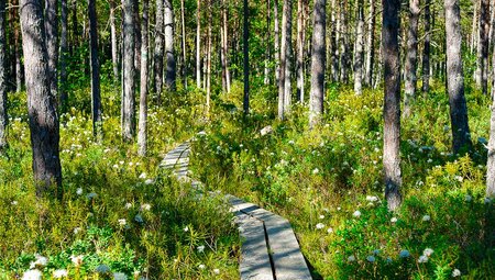 Baltikum:Litauen,Lettland & Estland